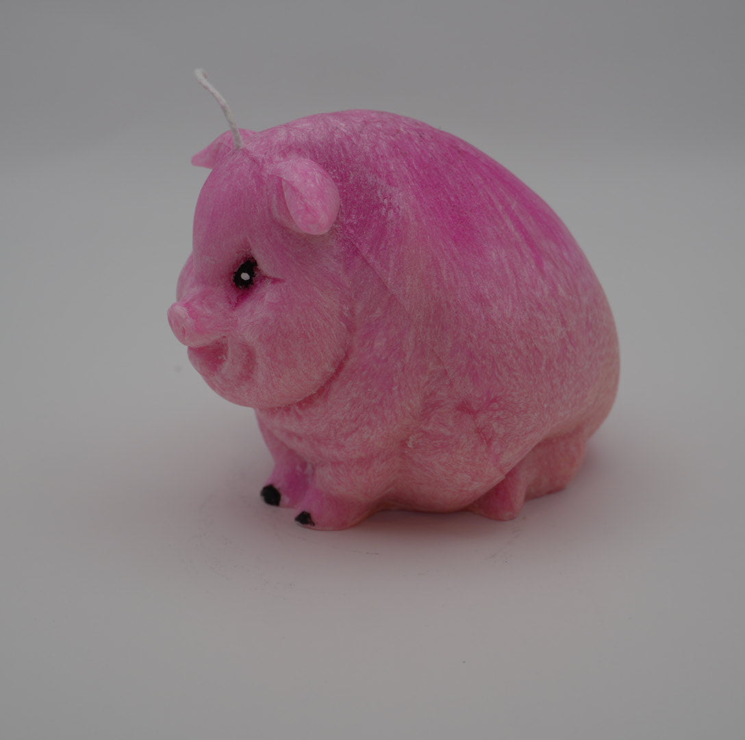 Sitting Pig