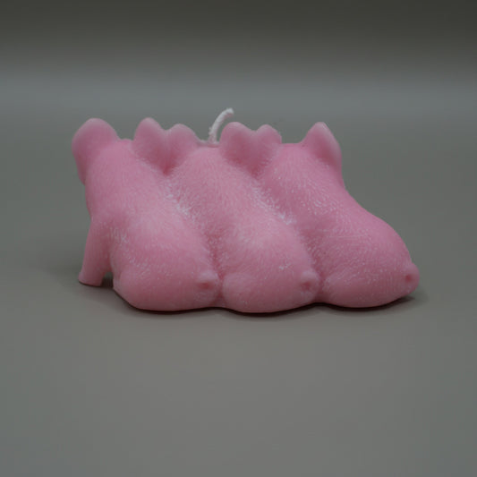 3 little piggies candle from behind on grey background