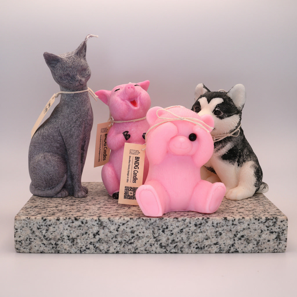 Animals