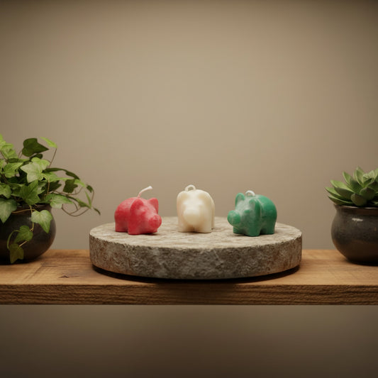 three tiny pig candles (1.5" tall) in red, white, and green on a round stone between plants on a shelf