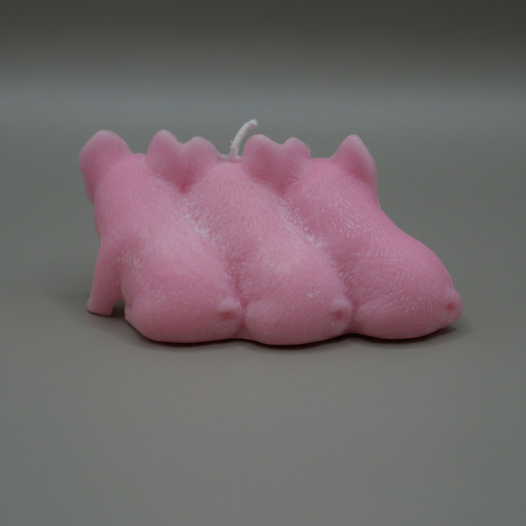 3 little piggies candle from behind on grey background
