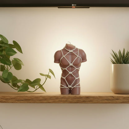 a brown male torso candle with a white shibari rope harness on a wall shelf between plants
