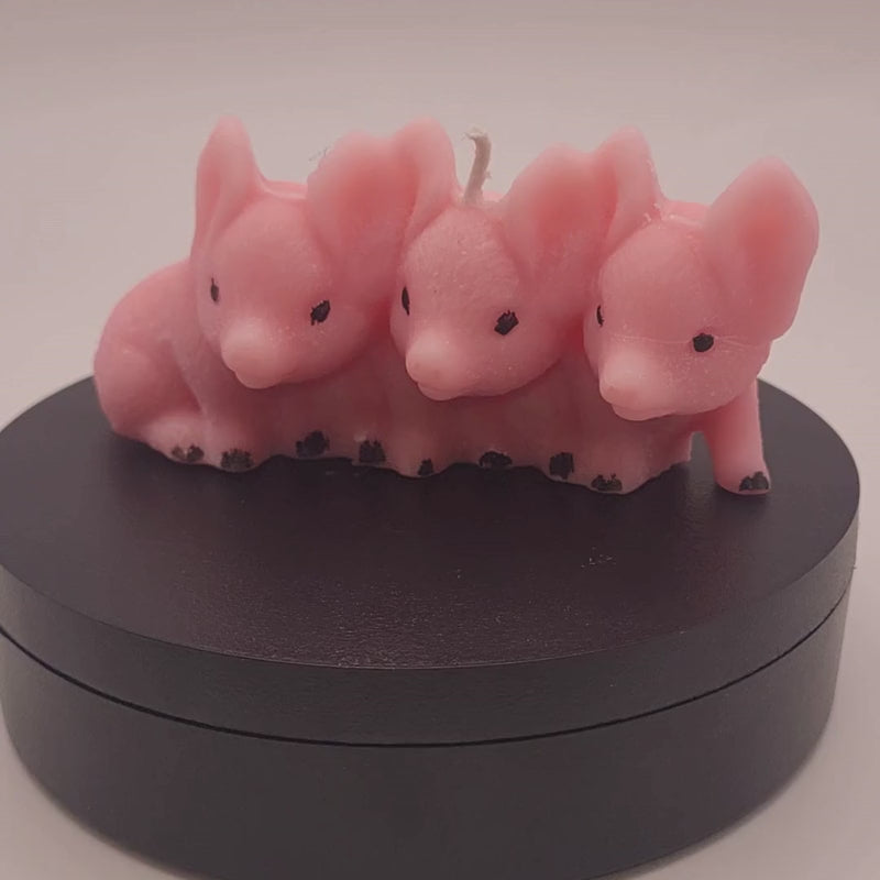 3 little piggy candle in a spinning platform